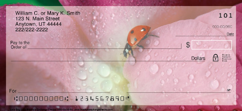 Lady Bug Luck Checks
