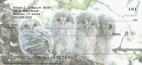 Baby Owls Checks