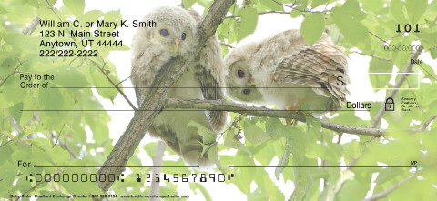 Baby Owls Personalized Checks