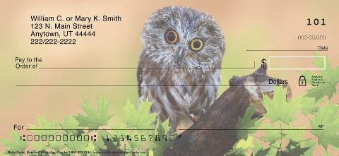 Baby Owls Art Checks