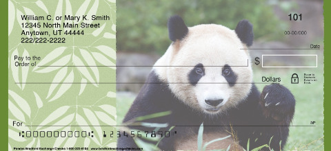 Pandas Checks