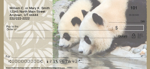 Pandas Personalized Checks