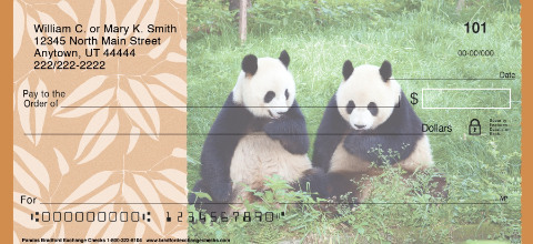 Pandas Art Checks