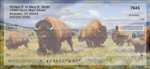 Bison Art Checks