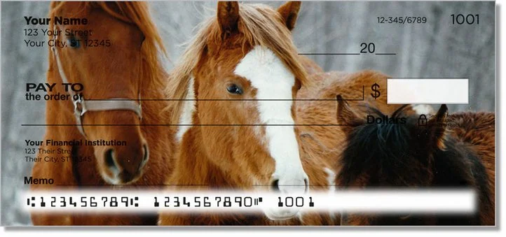 Horse 2 Personal Checks