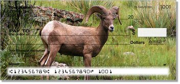 Big Horn Sheep Personalized Checks