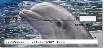 Dolphin Checks