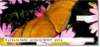 Butterfly and Moth Checks