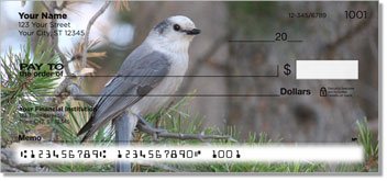 Gray Jay Bird Personalized Checks