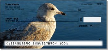 Seagull Checks