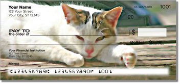 Cat Nap Checks