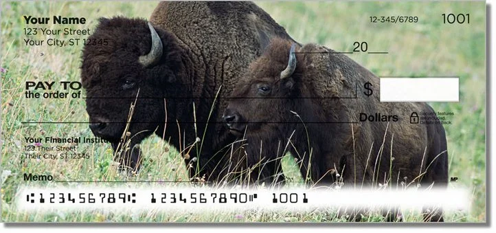 American Bison Personal Checks