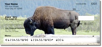 American Bison Checks