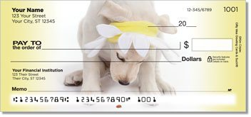 Yellow Lab Pup Checks