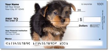 Yorkie Pup Personalized Checks