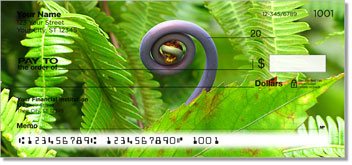 New Beginning Checks