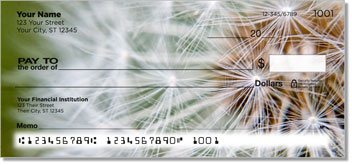 Natural Detail Checks