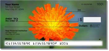 Orange Flower Checks