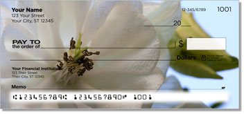 Apple Blossom Checks