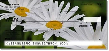 Gerber Daisy Checks