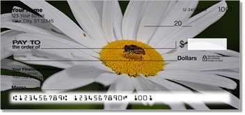Gerber Daisy Personalized Checks