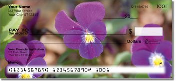Vivid Violet Checks