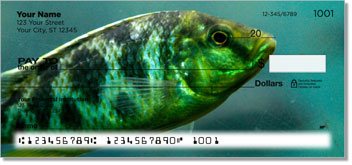 Gone Fishing 2 Checks