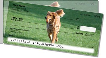 Golden Retriever Side Tear Checks