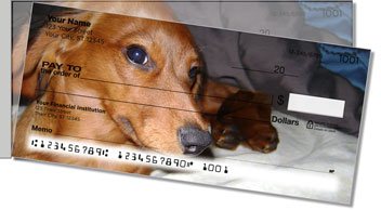 Dachshund Side Tear Checks