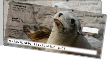 Sea Lion Side Tear Checks