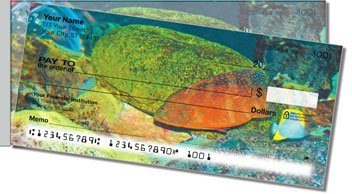 Blue Dot Grouper Side Tear Checks