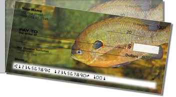 Bluegill Side Tear Checks