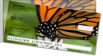 Monarch Butterfly Side Tear Checks