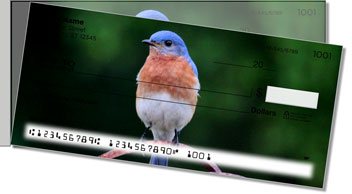 Bluebird Side Tear Checks