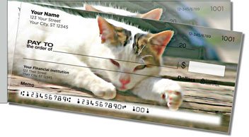 Cat Nap Side Tear Checks