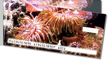 Sea Anemone Side Tear Checks