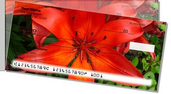 Lily Side Tear Checks