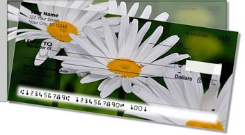 Gerber Daisy Side Tear Checks