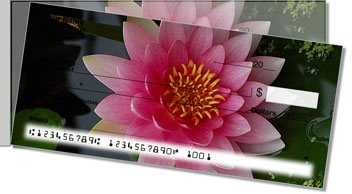 Fragrant Water Lily Side Tear Checks