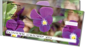 Vivid Violet Side Tear Checks