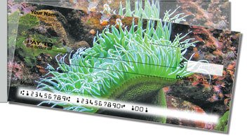 Coral Reef Side Tear Checks